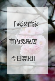 武汉首家市内免税店今日亮相